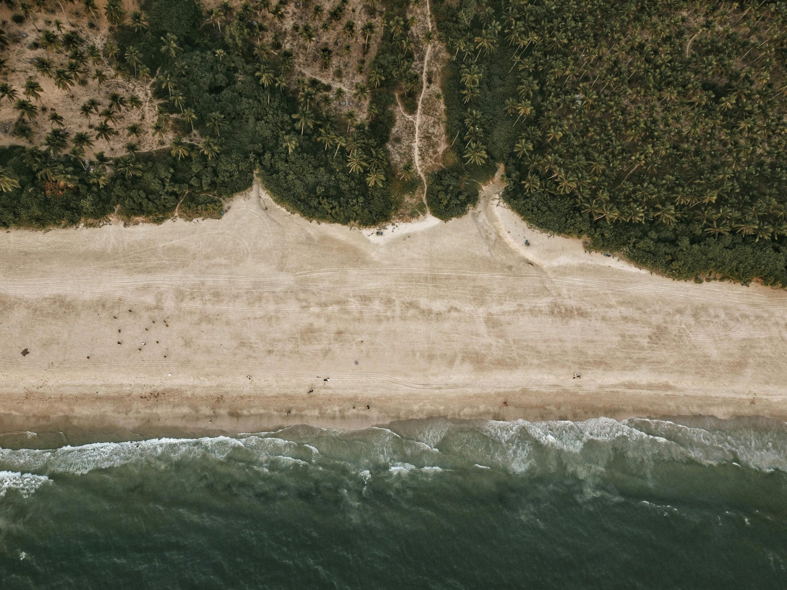 Aerial view of a beach in Goa