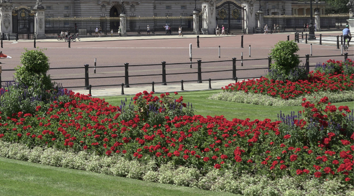 View of Garden at Buckingham Palace